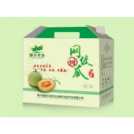 网纹瓜单枚