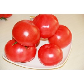国丰鲜食西红柿