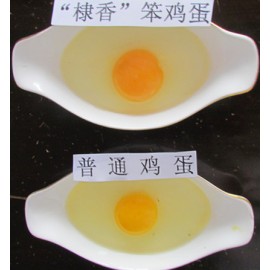 “棣香”笨鸡蛋和普通鸡蛋对比