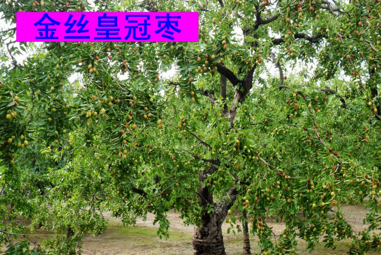 QQ截图20150708083846