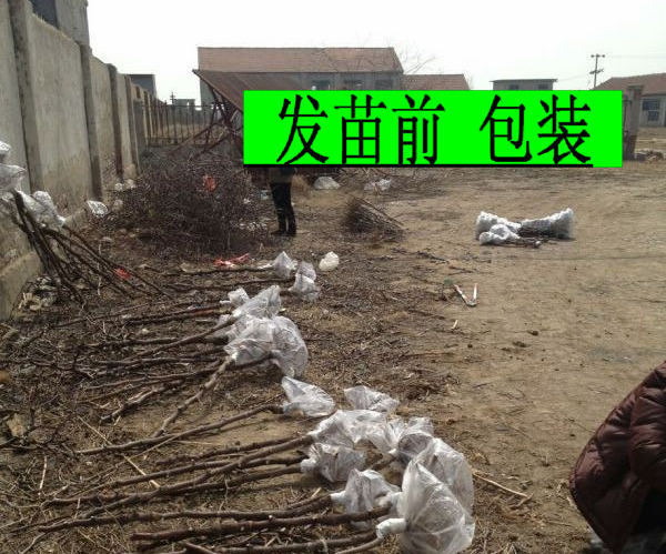 QQ截图20150708083937