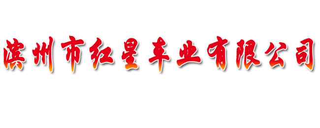 滨州市红星车业有限公司
