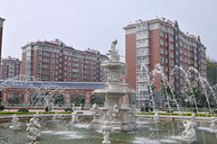 案例5