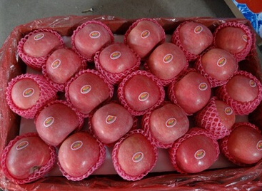 QQ截图20160503110714