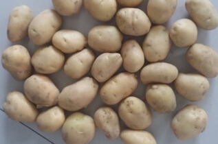 QQ截图20160503110827