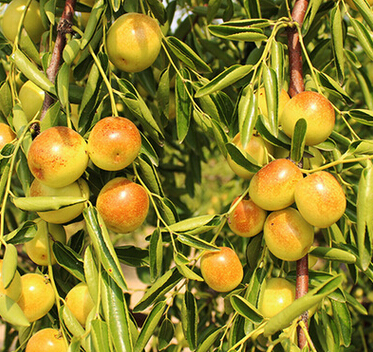 QQ截图20160512142833