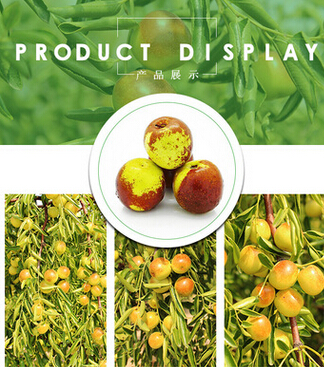 QQ截图20160512144000