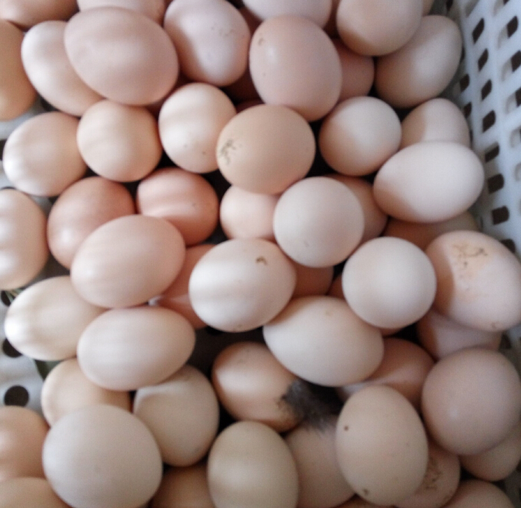 QQ截图20160517104840