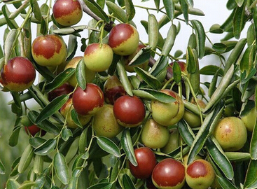 QQ截图20160517105002