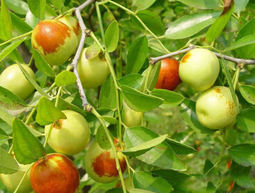 QQ截图20160517105051