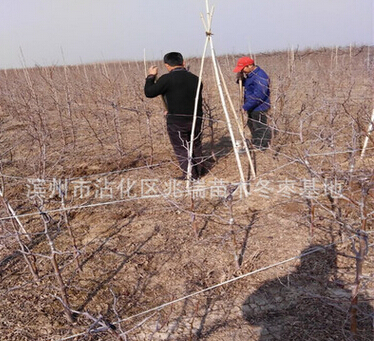 QQ截图20160524170132