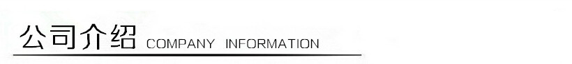 公司介绍