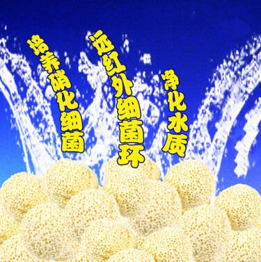 QQ截图20170427155417