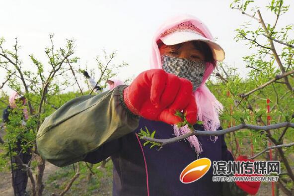 QQ截图20170505090903