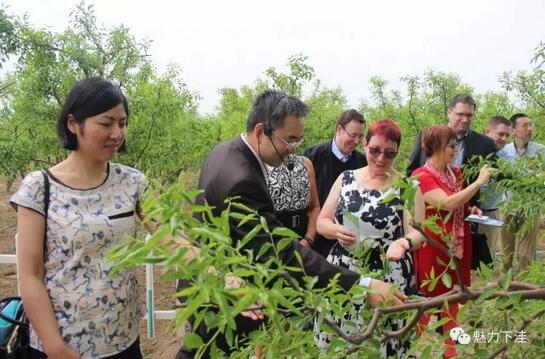 QQ截图20170517084211