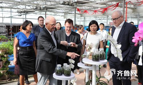 74e60eb8431a2581f4b8501faf99f9d8_iqilu