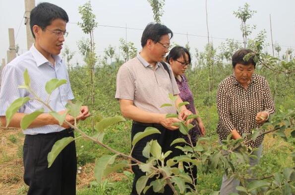 QQ截图20170525103652