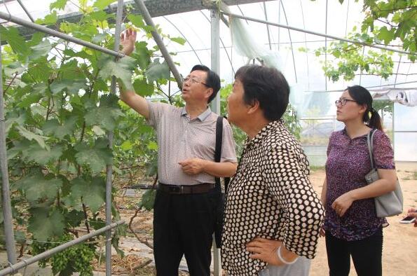 QQ截图20170525103929