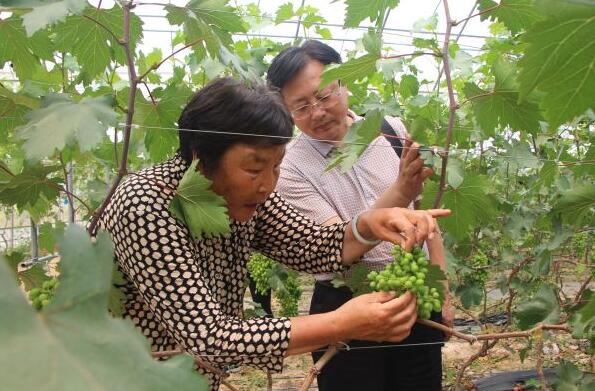 QQ截图20170525104003