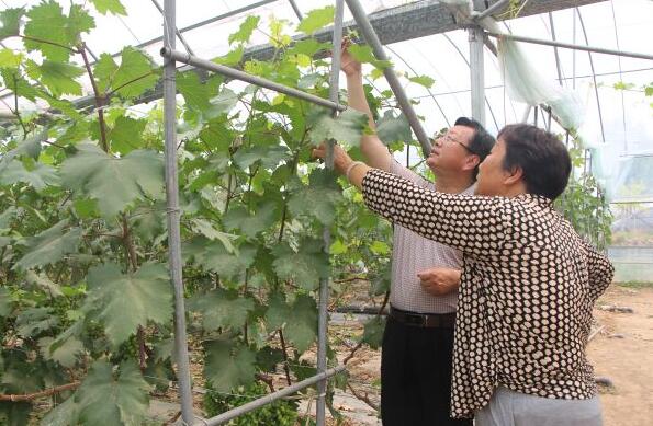 QQ截图20170525104018