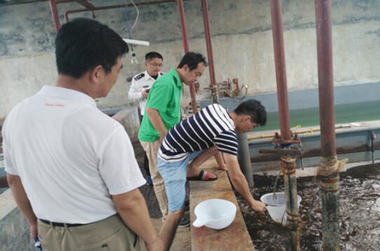 QQ截图20170526081908