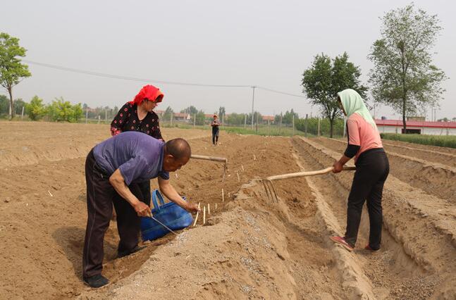 QQ截图20170527101630