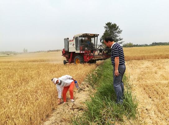 QQ截图20170606083431