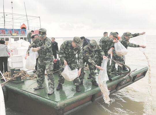 QQ截图20170608082642