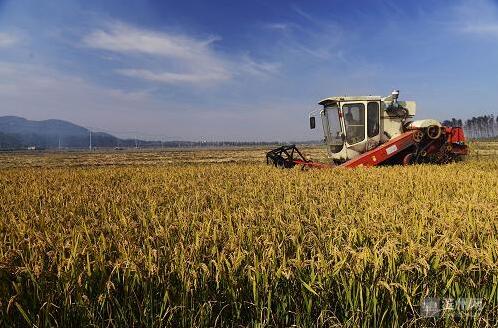 QQ截图20170609090246