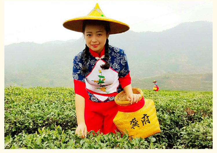 铁观音批发 茶叶进货渠道散装安溪铁观音 福建龚府各大茗茶厂家批发价格示例图5